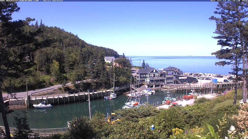 Hall's Harbour