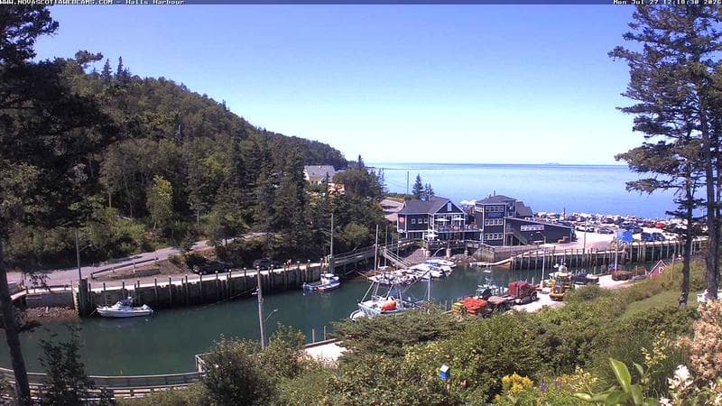 Hall's Harbour