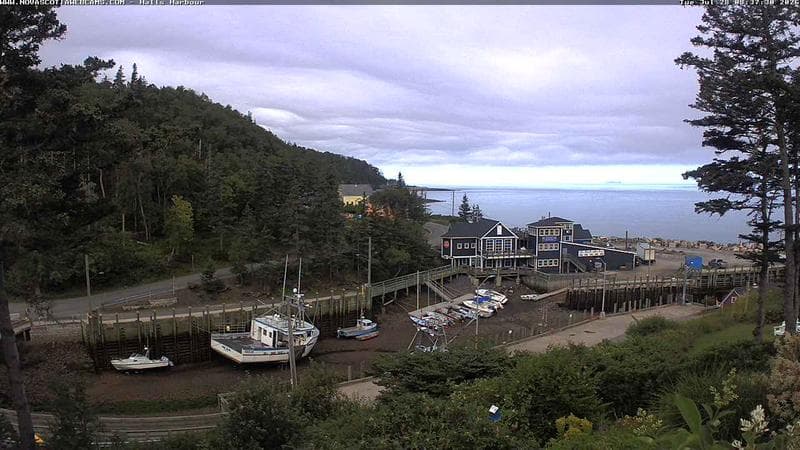 Hall's Harbour