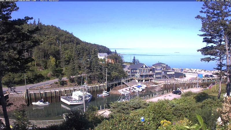 Hall's Harbour