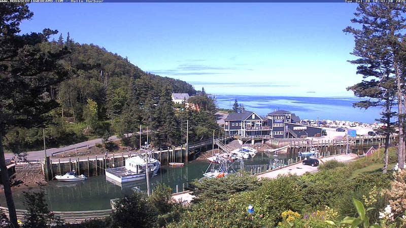 Hall's Harbour