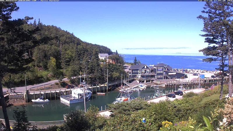 Hall's Harbour