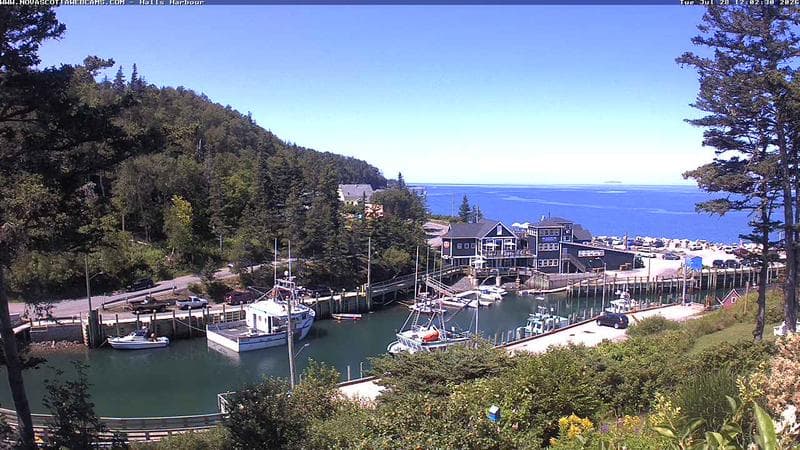 Hall's Harbour