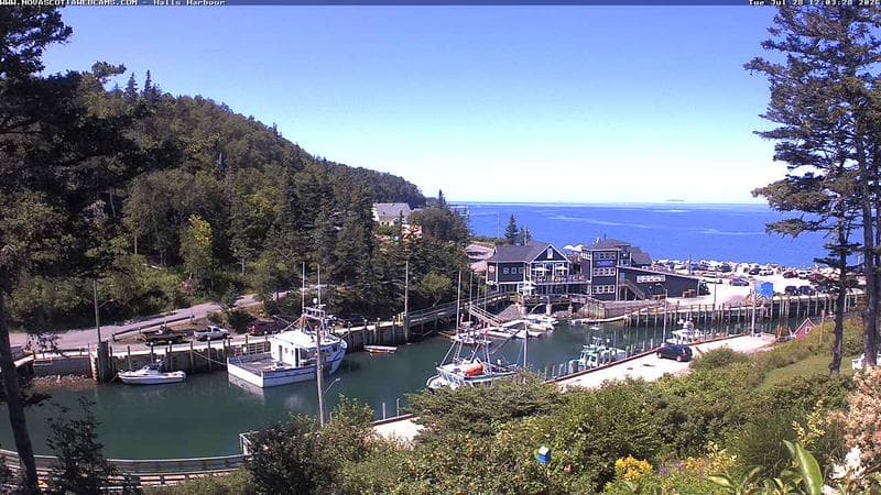 Hall's Harbour