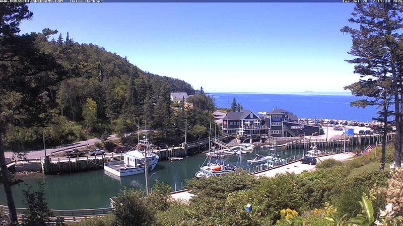 Hall's Harbour