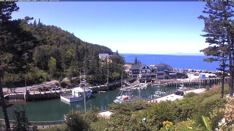 Hall's Harbour