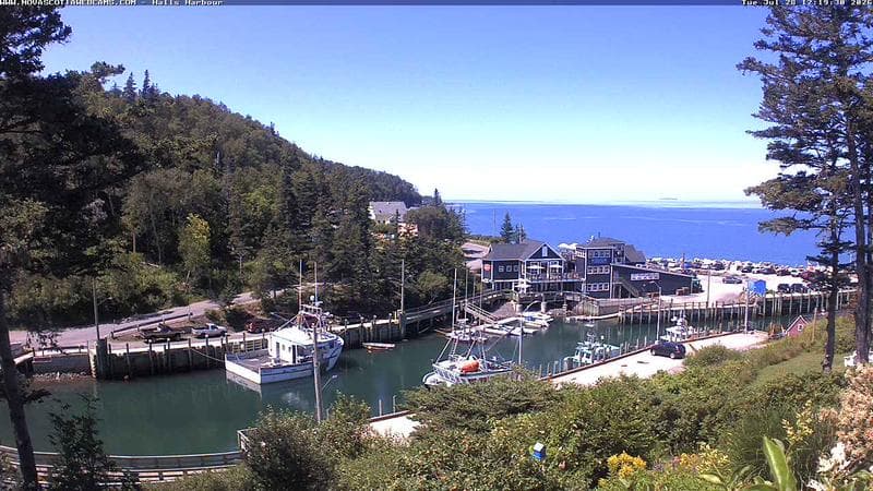 Hall's Harbour