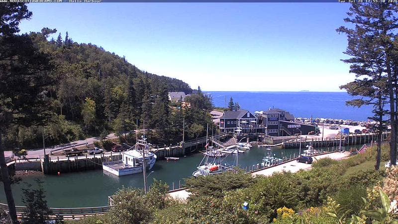 Hall's Harbour