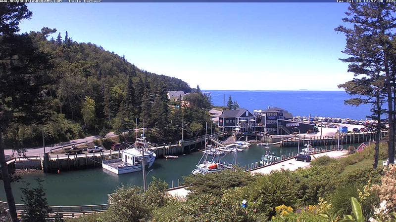 Hall's Harbour