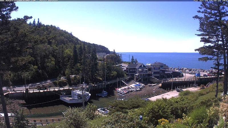 Hall's Harbour
