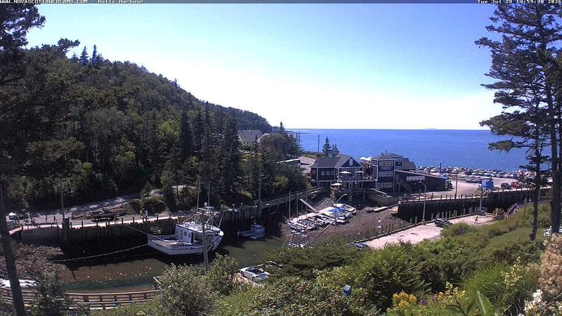 Hall's Harbour