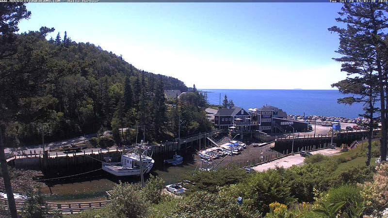 Hall's Harbour