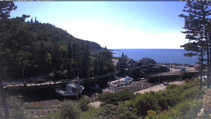 Hall's Harbour