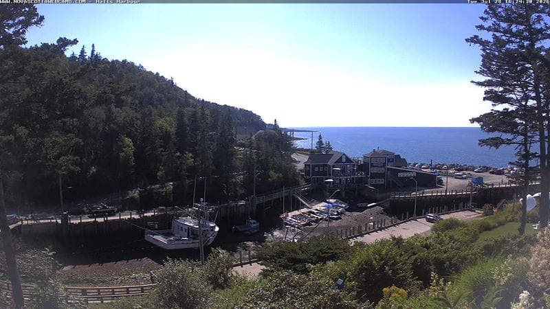 Hall's Harbour