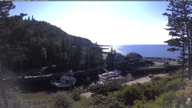 Hall's Harbour