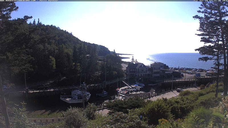 Hall's Harbour
