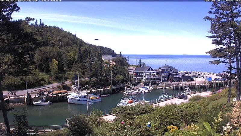Hall's Harbour