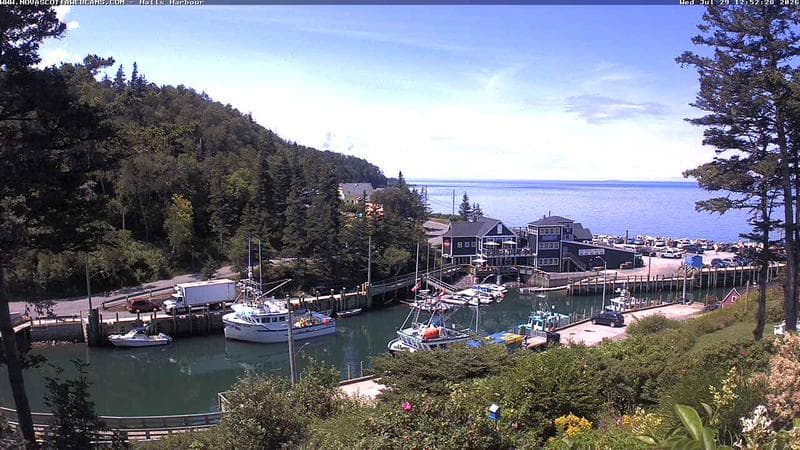 Hall's Harbour