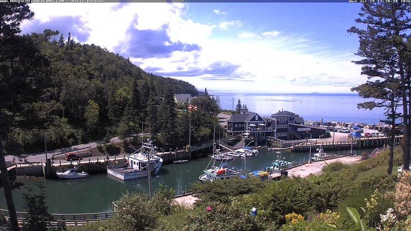 Hall's Harbour