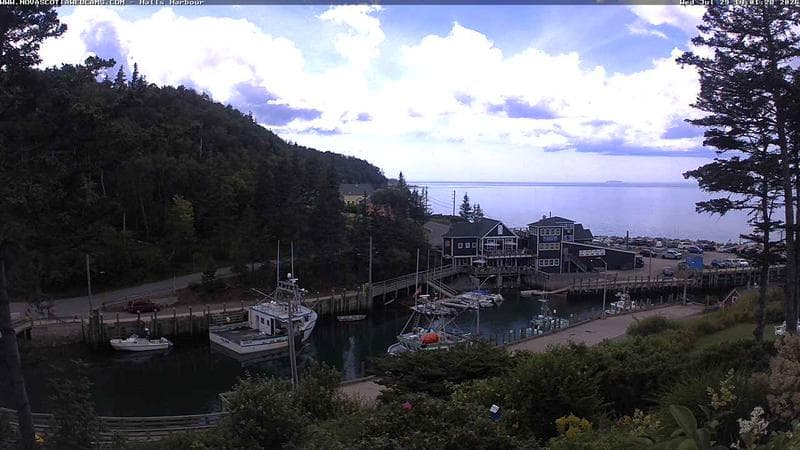 Hall's Harbour