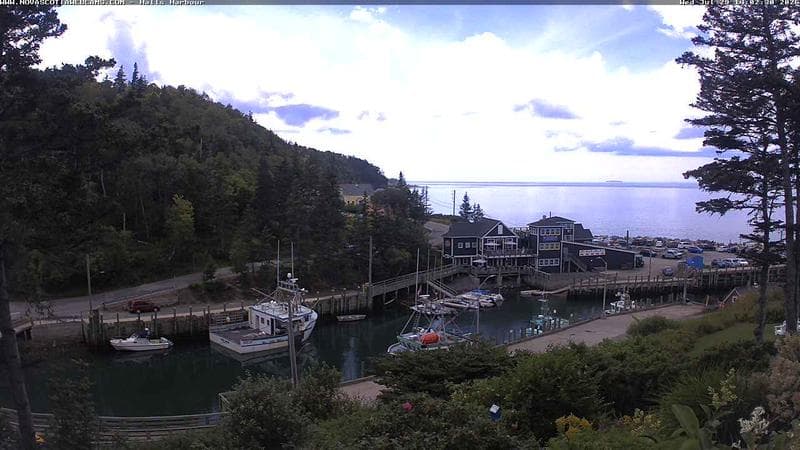 Hall's Harbour