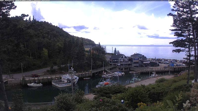Hall's Harbour