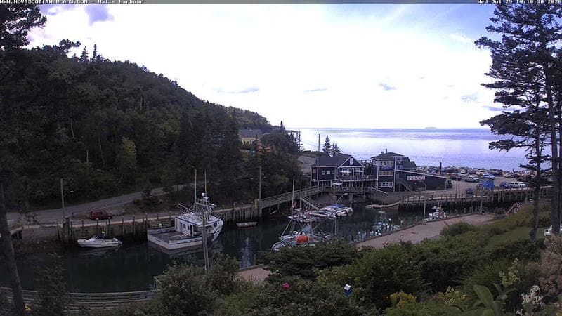 Hall's Harbour