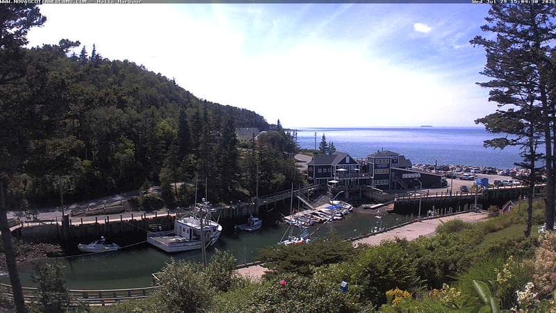 Hall's Harbour