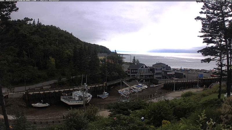 Hall's Harbour