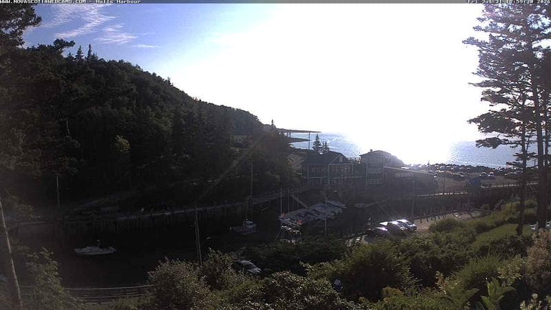 Hall's Harbour