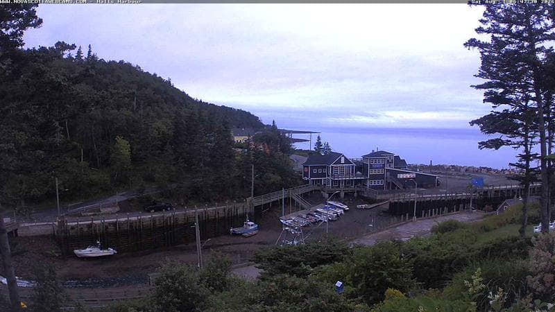 Hall's Harbour