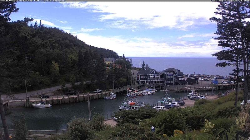 Hall's Harbour