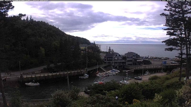 Hall's Harbour