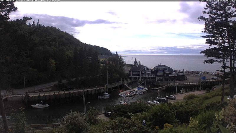 Hall's Harbour