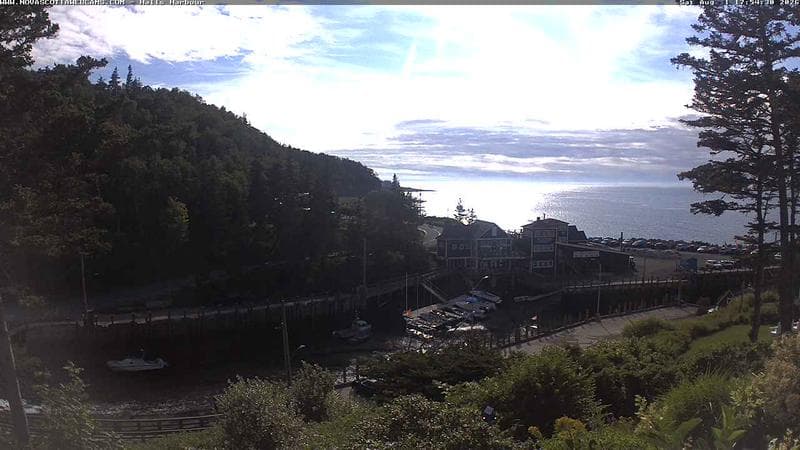 Hall's Harbour