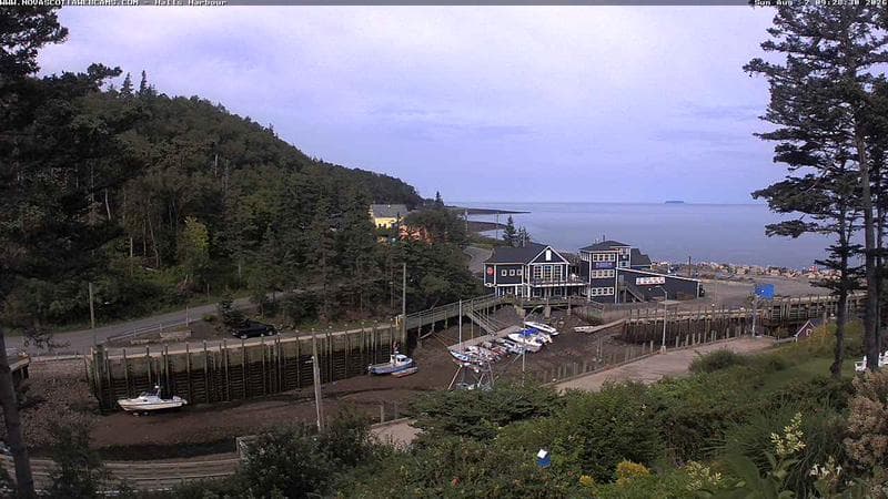 Hall's Harbour