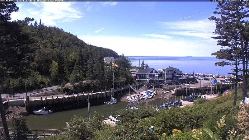 Hall's Harbour