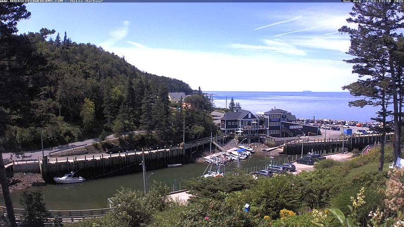 Hall's Harbour
