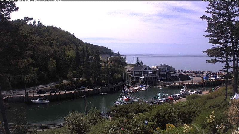 Hall's Harbour