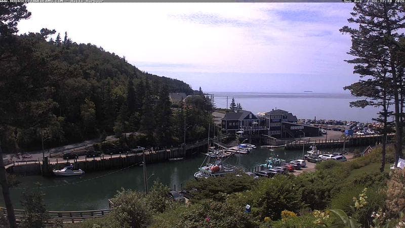 Hall's Harbour
