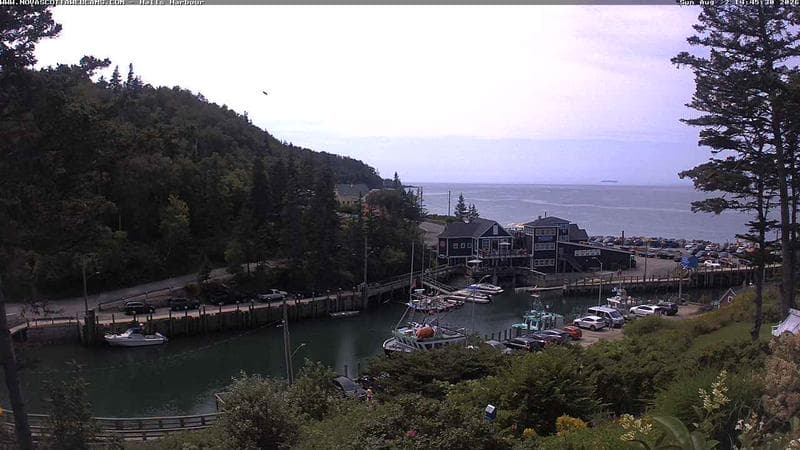 Hall's Harbour