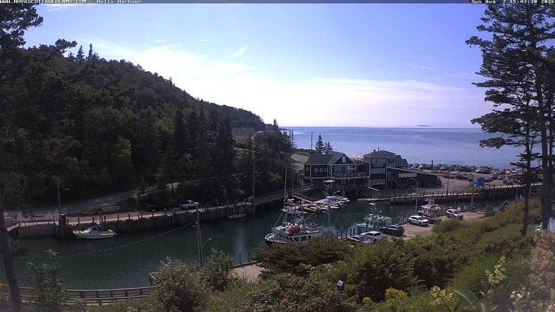 Hall's Harbour