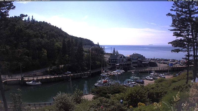 Hall's Harbour