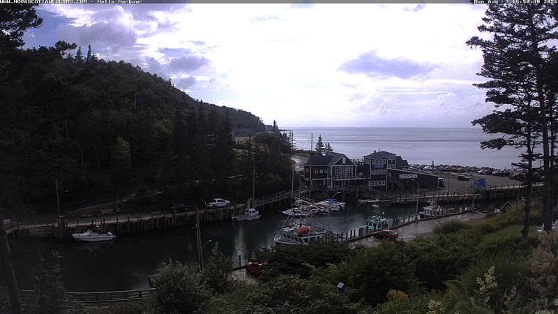 Hall's Harbour