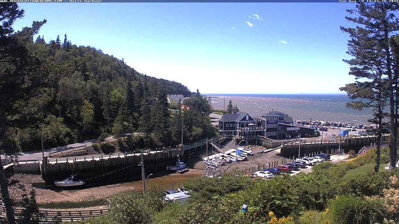 Hall's Harbour