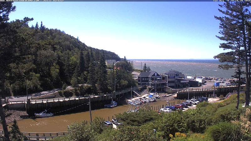 Hall's Harbour