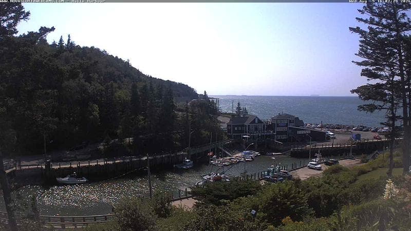 Hall's Harbour