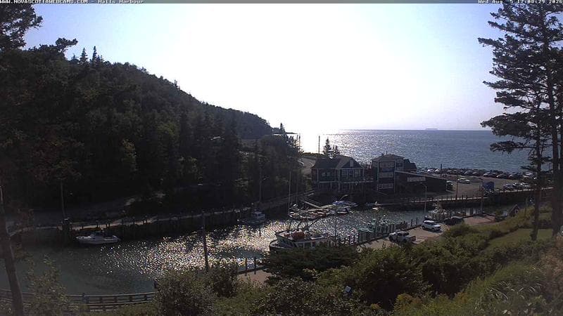 Hall's Harbour