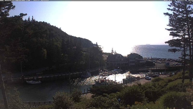 Hall's Harbour