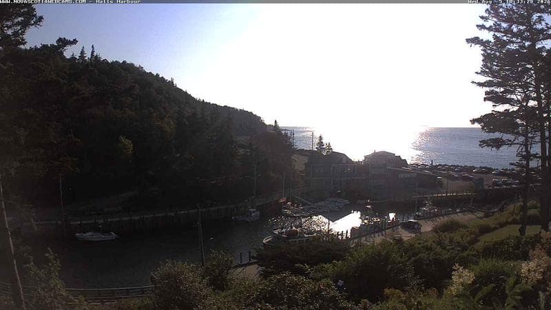 Hall's Harbour